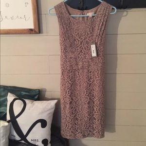 Lace Mauve Dress! Perfect for Spring!